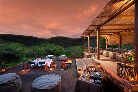 The Ultimate Luxury Safari Experience: Destinations, Accommodations, and Wildlife Encounters