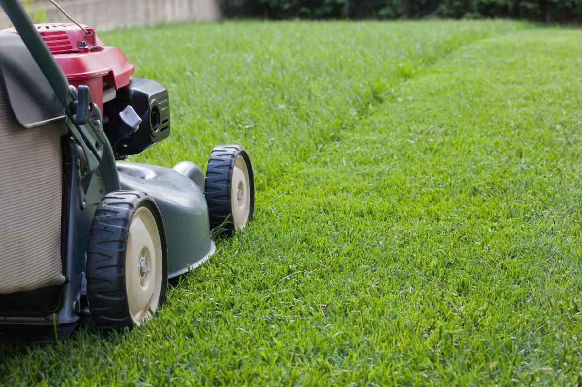 Lawn Mowing Secrets Will Quickly Get You ‘Dad-Level’ Grass