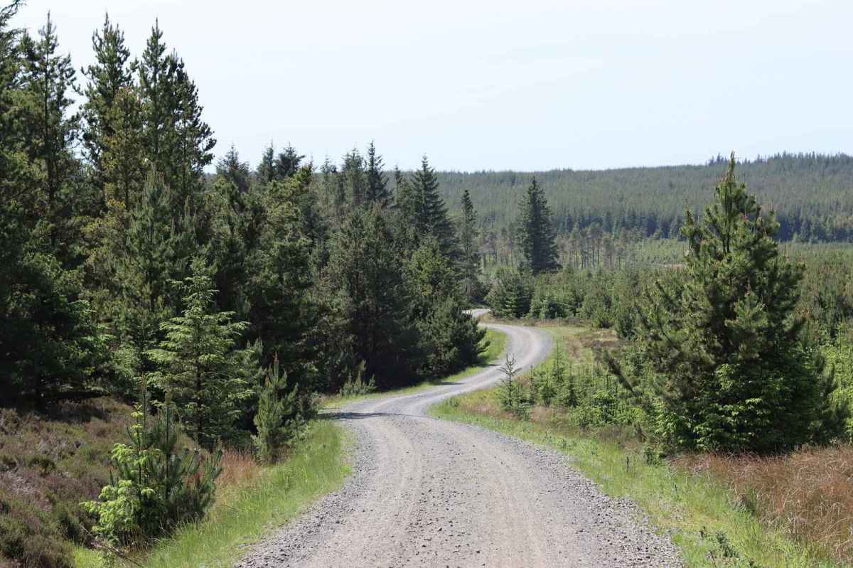 The Most Remote Road Trip You Can Take in North America Is Completely Unpaved and Over 450 Miles From the Closest Town