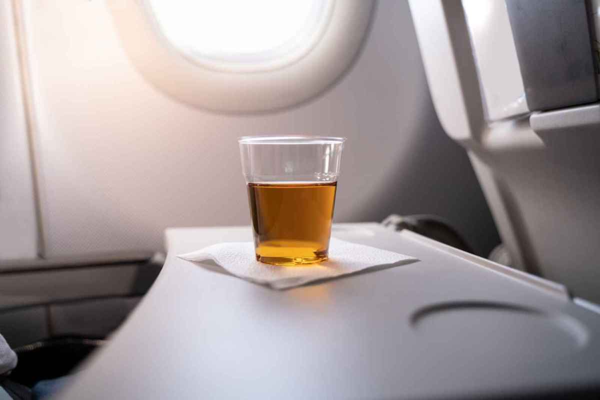 Drinking Alcohol While Flying Increases Alarming Health Risks: Study