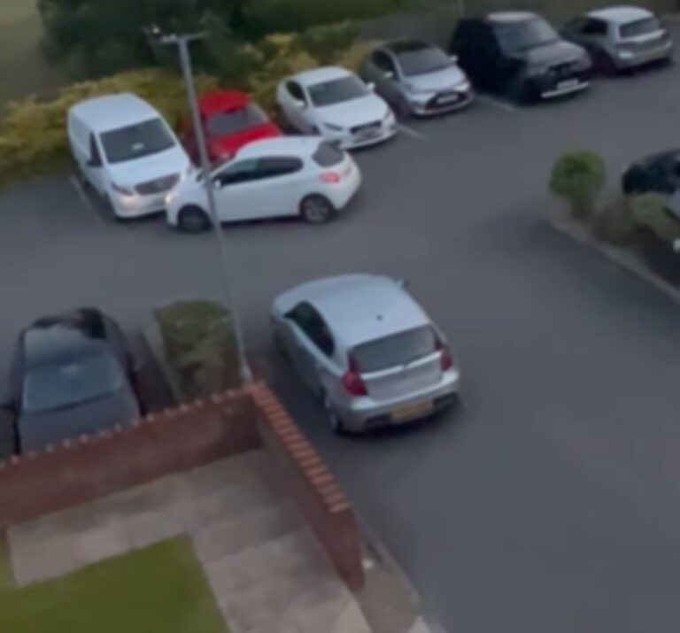 Watch a Bad Driver Hit Several Parked Cars and a Planter While Trying to Park